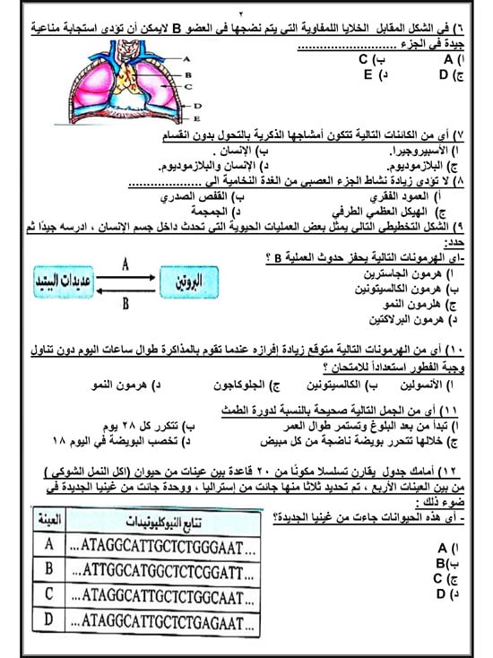 72025916658614-مراجعة-نهائية-اليوم-السابع-2025-2 72025916658614-مراجعة-نهائية-اليوم-السابع-2025-2