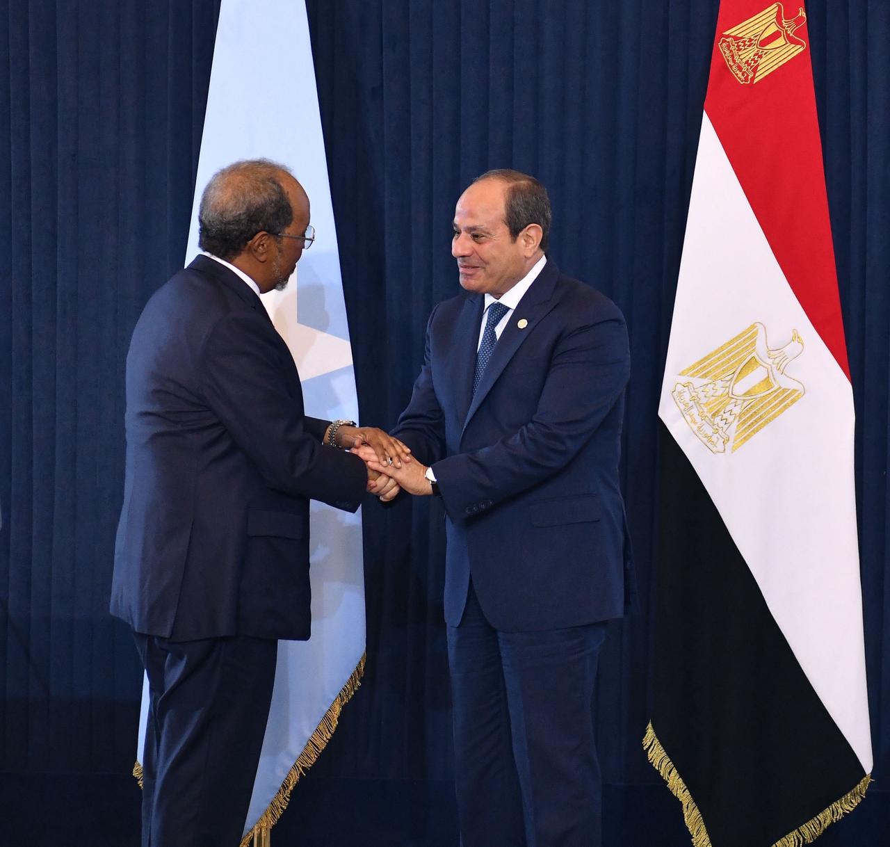 السيسى ورئيس الصورمال (6) السيسى ورئيس الصورمال (6)