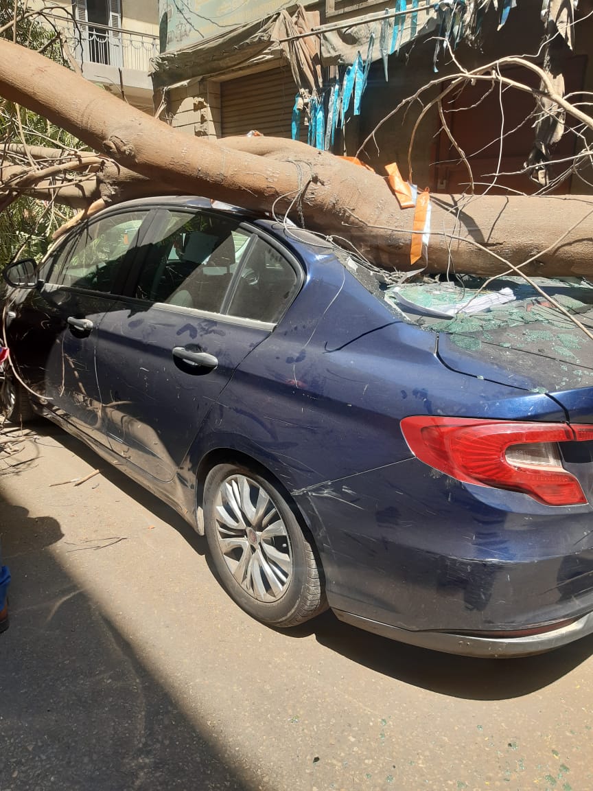 WhatsApp Image 2025-07-18 at 1.14.12 PM (2)