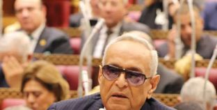 تفاصيل..وكيل الشيوخ نستهدف تحقيق التوازن بين الدولة والمواطن بشأن الملكية العامة