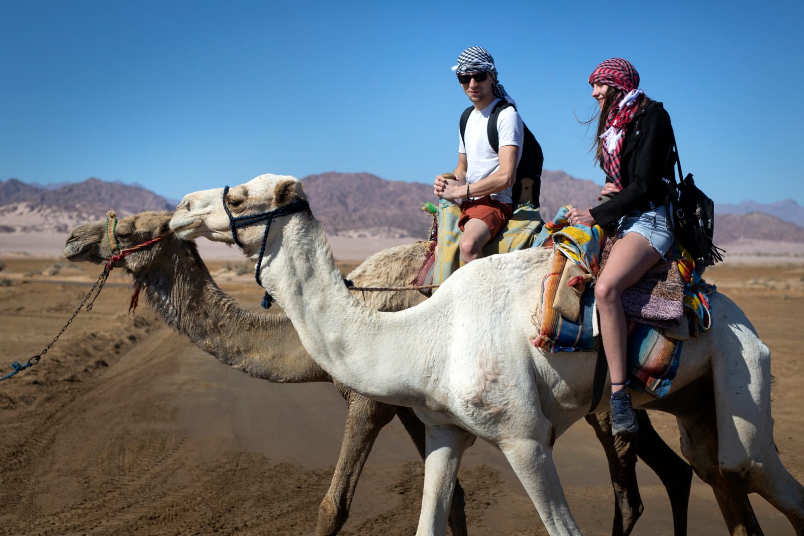 السياحة البيئية السياحة البيئية