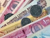 سعر الدرهم الإماراتى اليوم الجمعة 2572025 بالبنك المركزى 13.34 جنيه manshetat