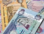 آخر تحديث.. سعر الدرهم الإماراتى اليوم الجمعة 472025 بالبنك المركزى 13.56 جنيه للشراء