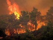اليونان تطلب مساعدة الاتحاد الأوروبى لمكافحة حرائق الغابات manshetat