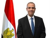 وزير الخارجية أبناء مصر بالخارج ركيزة أساسية فى تعزيز مكانة مصر إقليميا ودوليا manshetat