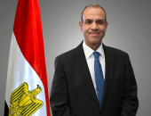 مصر ترحب بالتوقيع على إعلان المبادئ بين جمهورية الكونغو وحركة 23 مارس manshetat