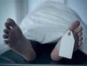 آخر تحديث.. مصرع شخص صدمته سيارة أثناء عبوره طريق الإسكندرية الصحراوى