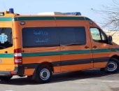 آخر تحديث.. مصرع ربة منزل وشقيقتها على يد زوجها فى بنى مزار بالمنيا