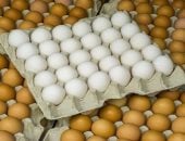 آخر تحديث.. طرح بيض المائدة بمنافذ وزارة التموين اعرف الأسعار
