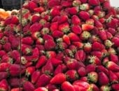 مصر الأولى عالميًا فى تصدير الفراولة المجمدة بـ383 مليون دولار لأكثر من 100سوق manshetat