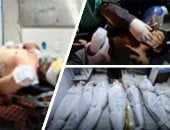 آخر تحديث.. قيادى بفتح مصر تدعم حق الفلسطينيين فى التمسك بأرضهم وتسعى لإحلال السلام
