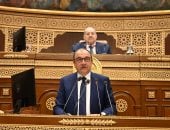 محمد شيمى 74 مليار جنيه حجم الإيرادات المتوقعة للقابضة المعدنية العام المقبل manshetat