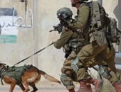 آخر تحديث.. صحيفة إسبانية أوروبا ترسل كلابًا تستخدمها إسرائيل ضد الفلسطينيين
