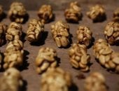 قهوة الزباد رحلة أغلى فنجان فى العالم من بطن حيوان إلى مائدة الأثرياء manshetat