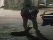 الداخلية تضبط المتهم بسحل كلب بتروسيكل بالمنوفية manshetat