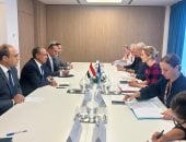 وزير الخارجية يستعرض جهود مصر للتوصل لوقف إطلاق نار في غزة manshetat