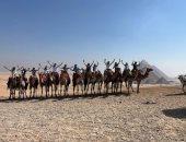 جولة سياحية للبعثة الأمريكية لناشئى الاسكواش بالأهرامات قبل انطلاق بطولة العالم manshetat