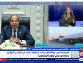 ضياء رشوان مصر التزمت بـ3 أهداف منذ بدء العدوان وموقفها من القضية ثابت manshetat