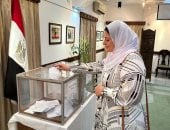 المصريون بالهند يواصلون التوافد على مقر السفارة بنيودلهى للمشاركة بانتخابات الشيوخ