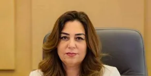 تفاصيل..الوقائع تنشر قرار تخصيص أراضٍ من نزلة السمان وحتى أبوالهول للمنفعة العامة