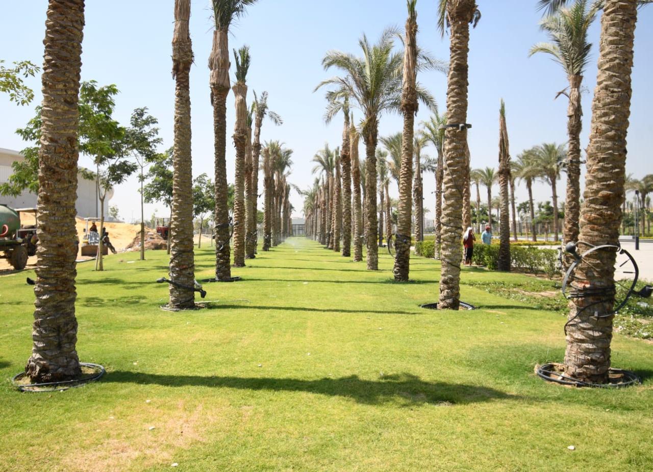 حدائق الفسطاط حدائق الفسطاط