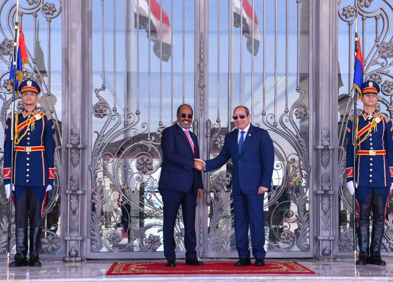 السيسى ورئيس الصورمال (3) السيسى ورئيس الصورمال (3)