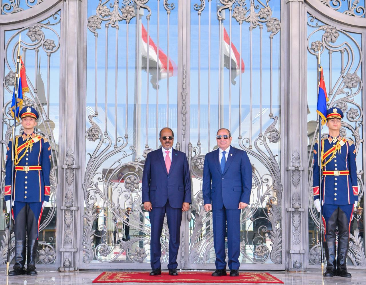 السيسى ورئيس الصورمال (7) السيسى ورئيس الصورمال (7)