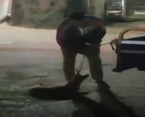 الواقعة الواقعة