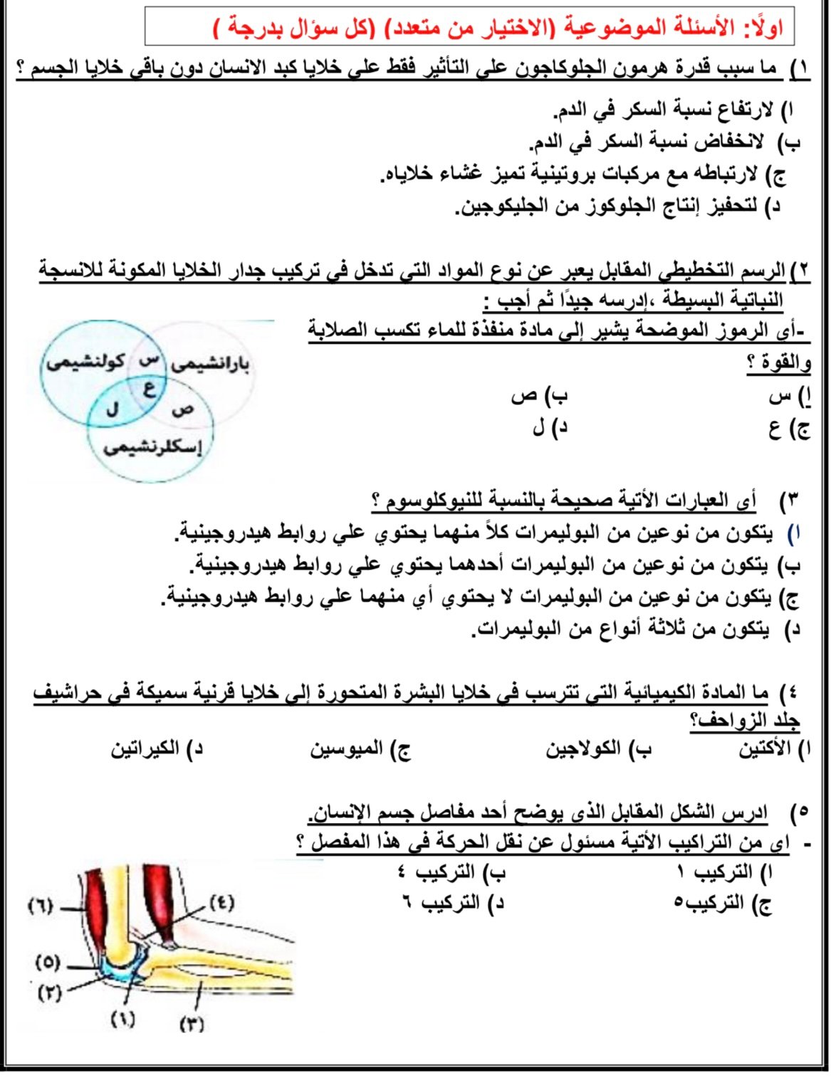 مراجعات الثانوية العامة مراجعات الثانوية العامة