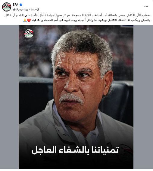 حسن شحاتة حسن شحاتة