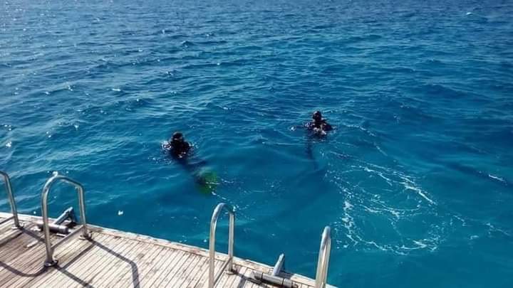 رحلات الغوص فى الغردقة رحلات الغوص فى الغردقة