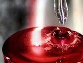 الزئبق في أمريكا اللاتينية تهديد صحي وبيئي متزايد يطال المجتمعات والتنوع البيولوجي manshetat