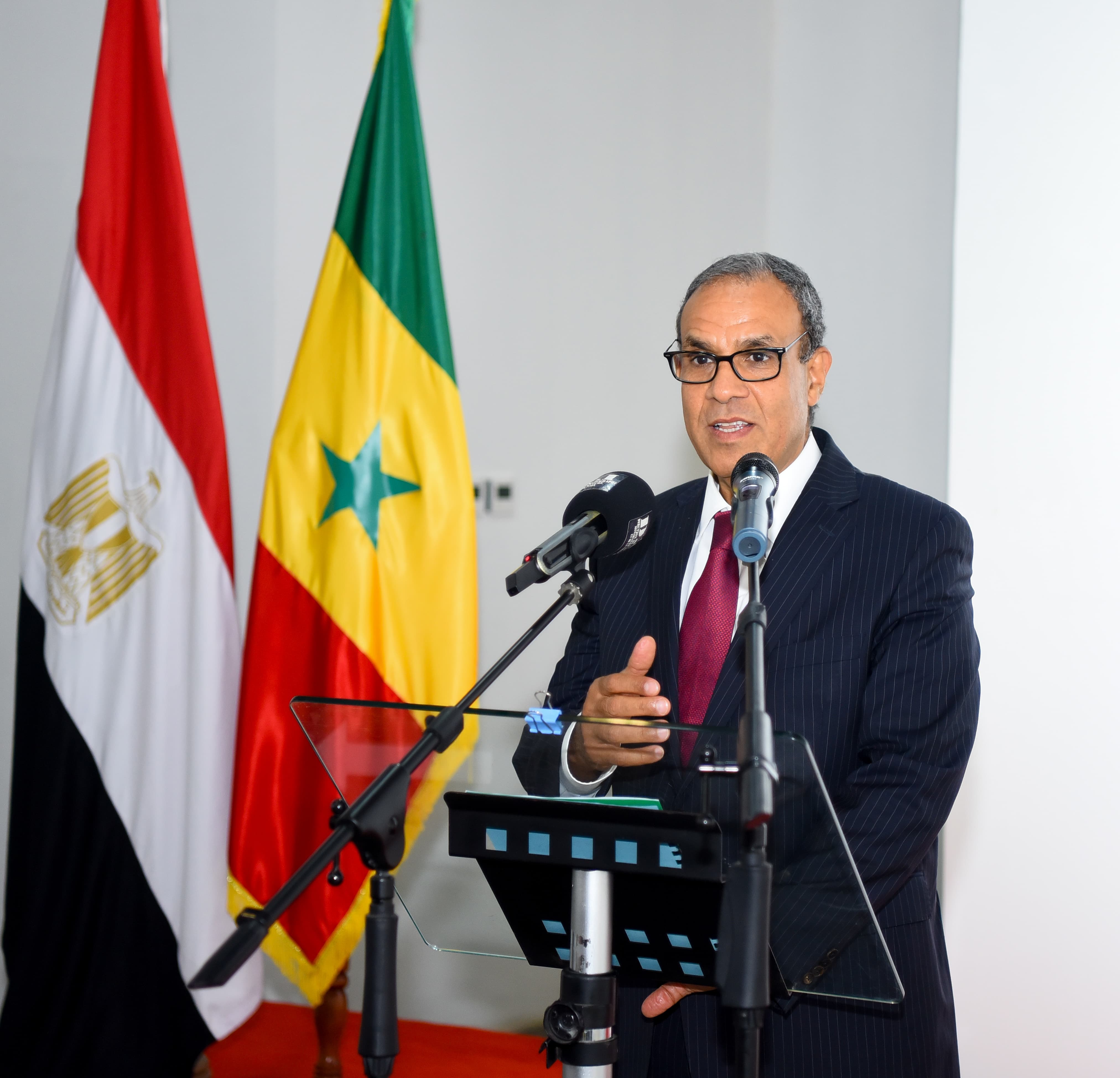 وزير الخارجية بدر عبد العاطى وزير الخارجية بدر عبد العاطى
