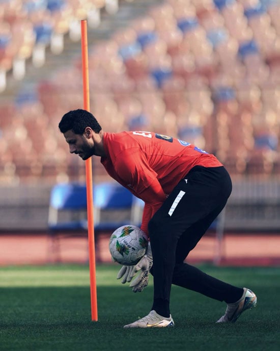 محمد الشناوى محمد الشناوى