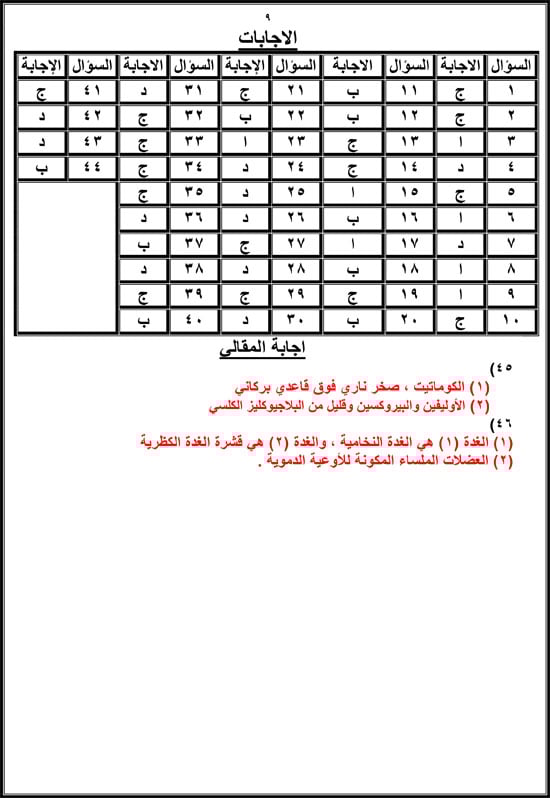 72025916658614-مراجعة-نهائية-اليوم-السابع-2025-9 72025916658614-مراجعة-نهائية-اليوم-السابع-2025-9