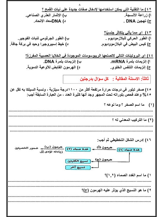 72025916658614-مراجعة-نهائية-اليوم-السابع-2025-8 72025916658614-مراجعة-نهائية-اليوم-السابع-2025-8