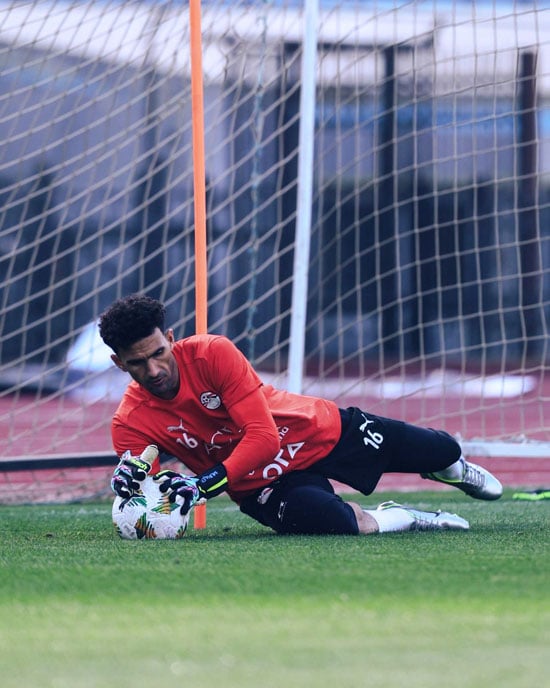 محمد عواد محمد عواد