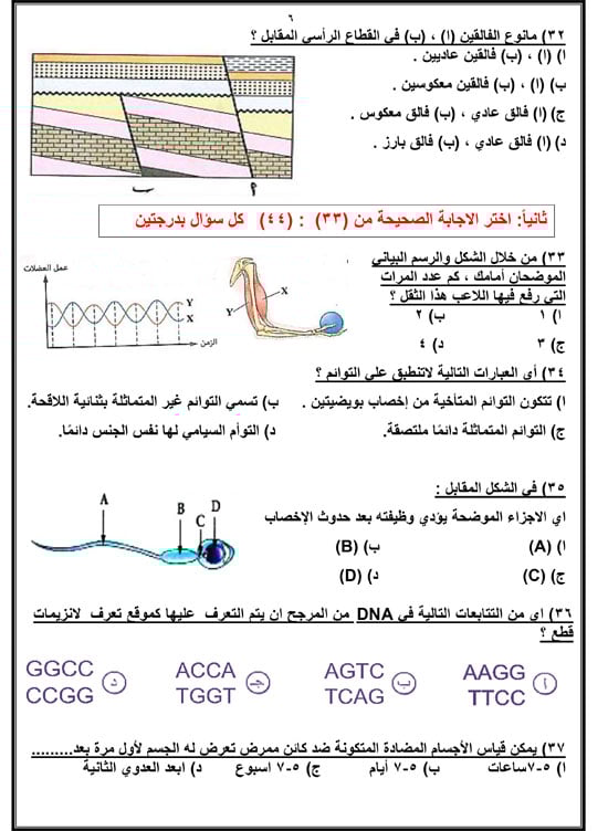 72025916658614-مراجعة-نهائية-اليوم-السابع-2025-6 72025916658614-مراجعة-نهائية-اليوم-السابع-2025-6