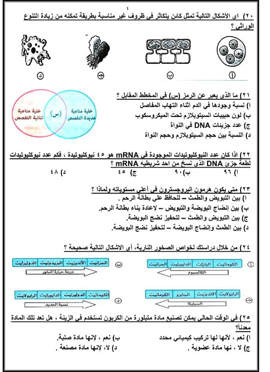 72025916658614-مراجعة-نهائية-اليوم-السابع-2025-4 72025916658614-مراجعة-نهائية-اليوم-السابع-2025-4