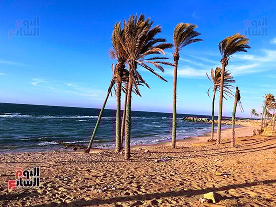 جمال-الطبيعة-علي-شاطي-العريش جمال-الطبيعة-علي-شاطي-العريش