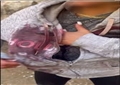بالتفصيل..حقيقة تعدي أشخاص على سيدة بسبب منعهم من الاعتداء على الكلاب بالإسكندرية